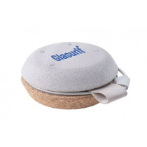 Glasurit Conference Speaker