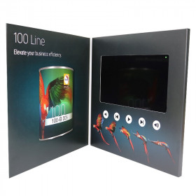 Glasurit 100 Line VideoCard