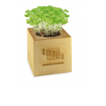 Plant Cube